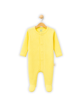 Yellow Rib